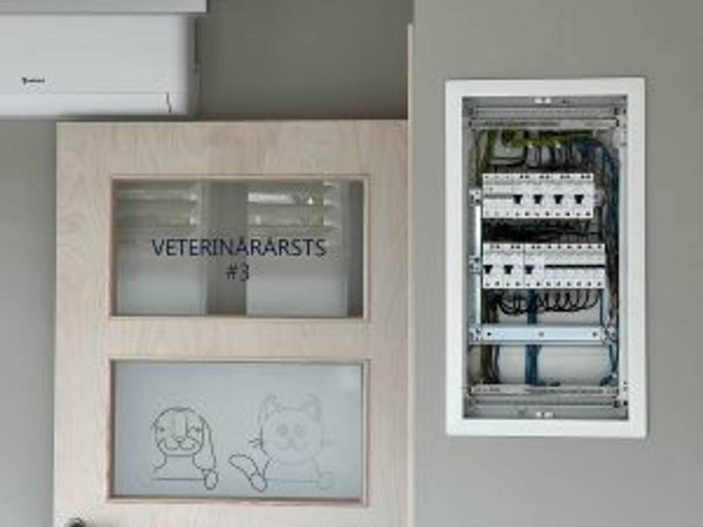 Vidzemes Veterinārais serviss Ezera iela 3, Valmiera